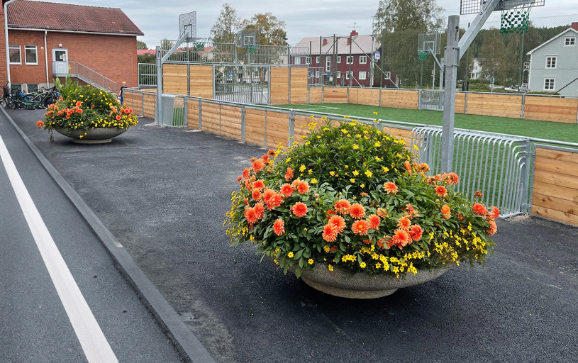 Planteringsk rl Bloml dor F r Park Stad Tress Utemilj Planteringsk rl Bloml dor F r Park Stad Tress Utemilj