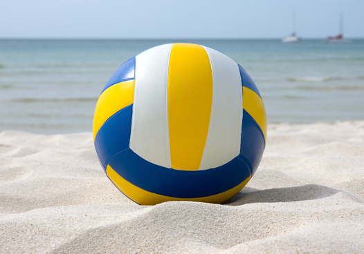 Volleyballer Category Image