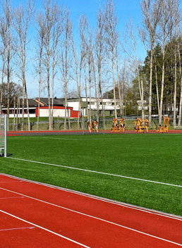 Fotbollsmål Borgsmo IP Norrköping1 Case Image