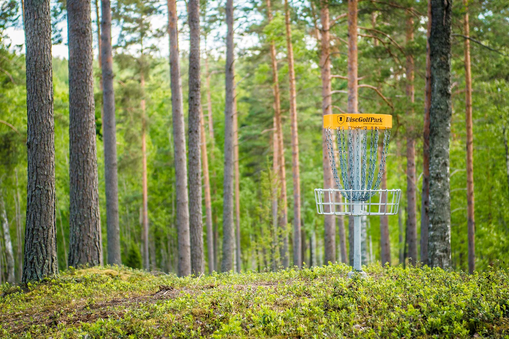 Discgolf target kurv i skov