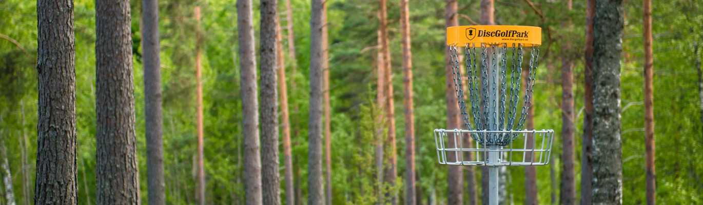 Frisbeegolf kurv i skogen