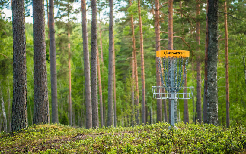 Disc Golf Content Image