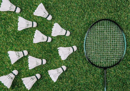Badmintonracketer Category Image