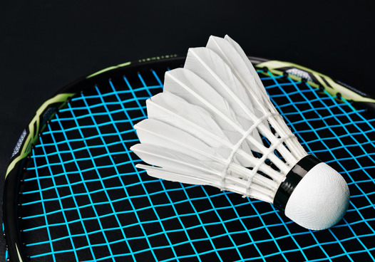 Badmintonballer Category Image