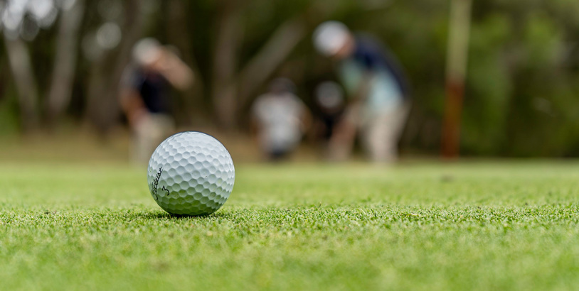 Golf Minigolf Category Image