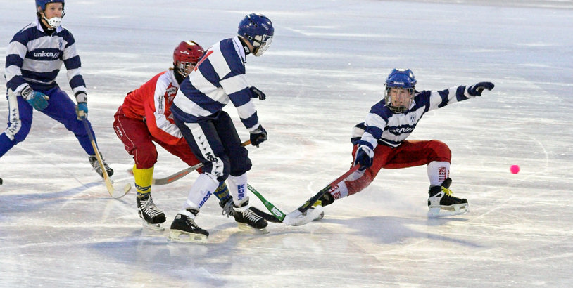 Bandy Category Image